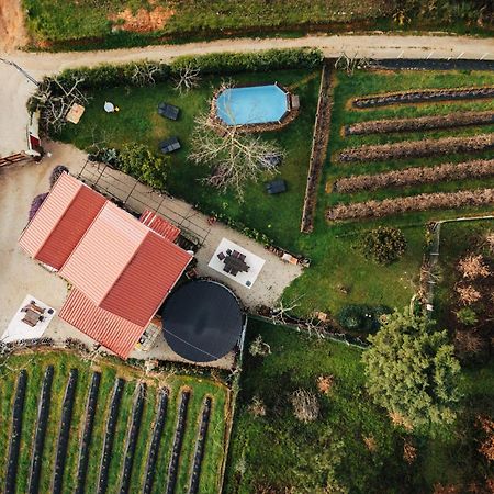 Quinta Vale Salgueiro Daire Seia Dış mekan fotoğraf