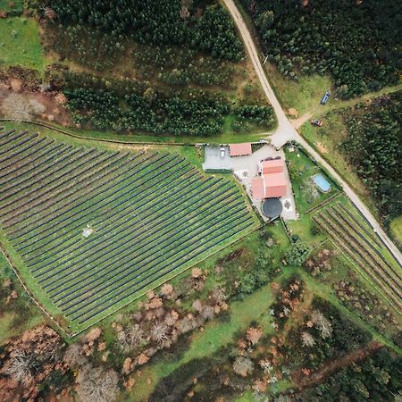 Quinta Vale Salgueiro Daire Seia Dış mekan fotoğraf