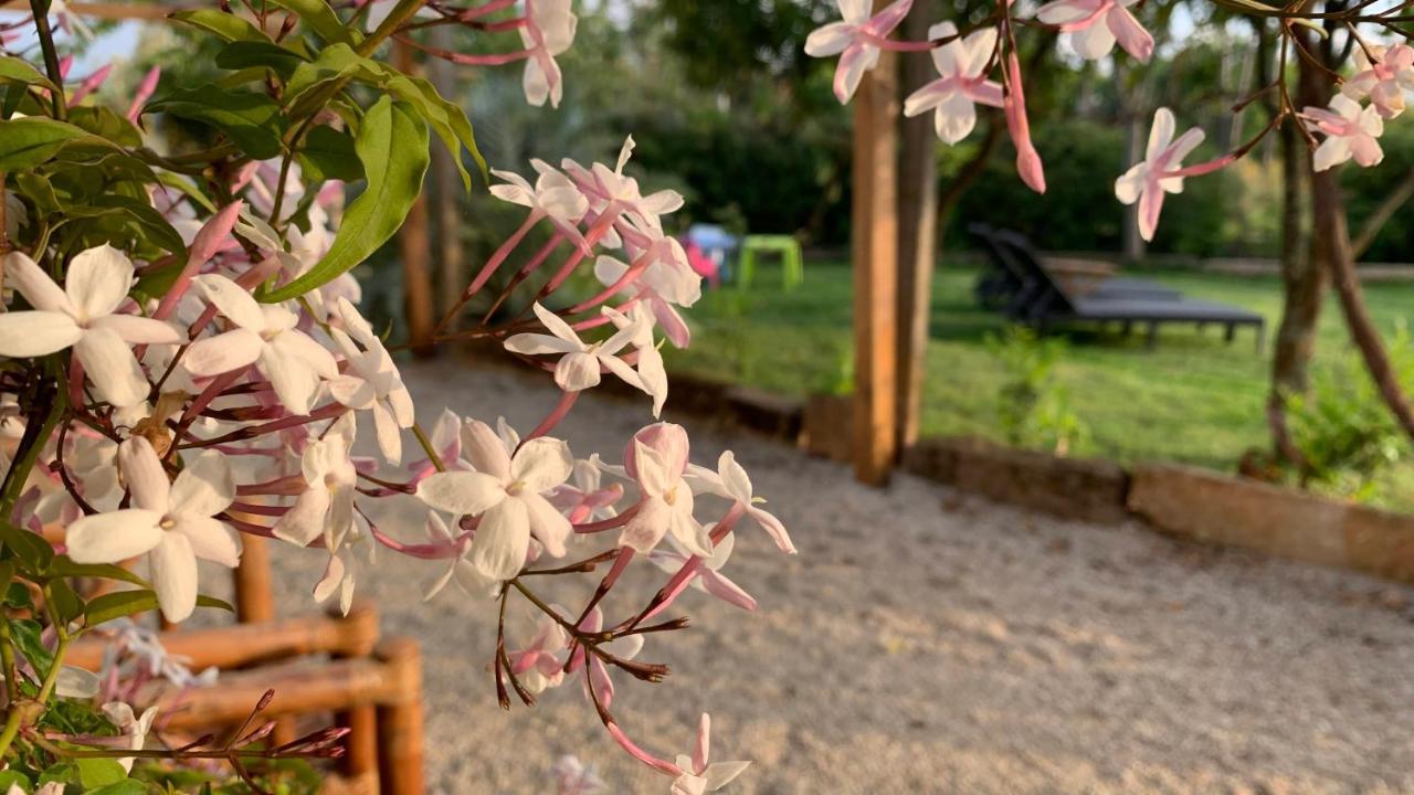 Quinta Vale Salgueiro Daire Seia Dış mekan fotoğraf