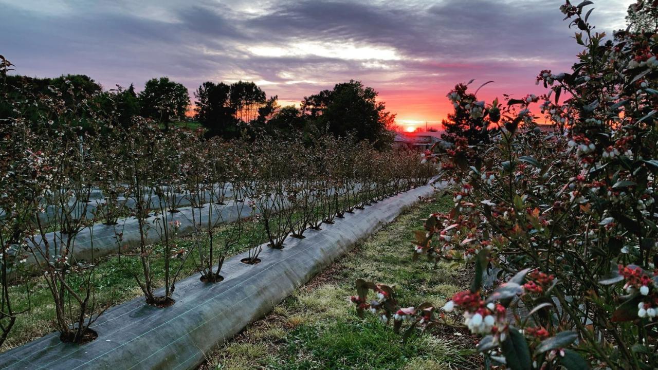 Quinta Vale Salgueiro Daire Seia Dış mekan fotoğraf