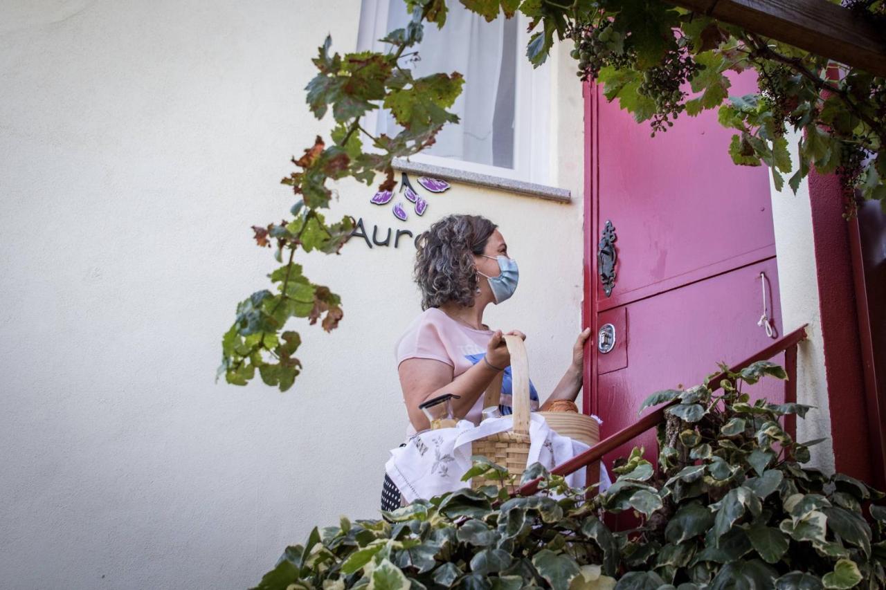 Quinta Vale Salgueiro Daire Seia Dış mekan fotoğraf