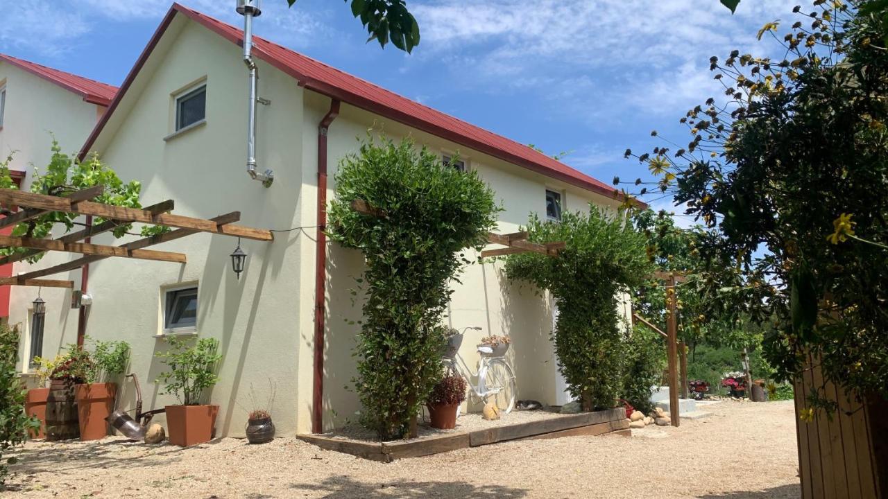 Quinta Vale Salgueiro Daire Seia Dış mekan fotoğraf