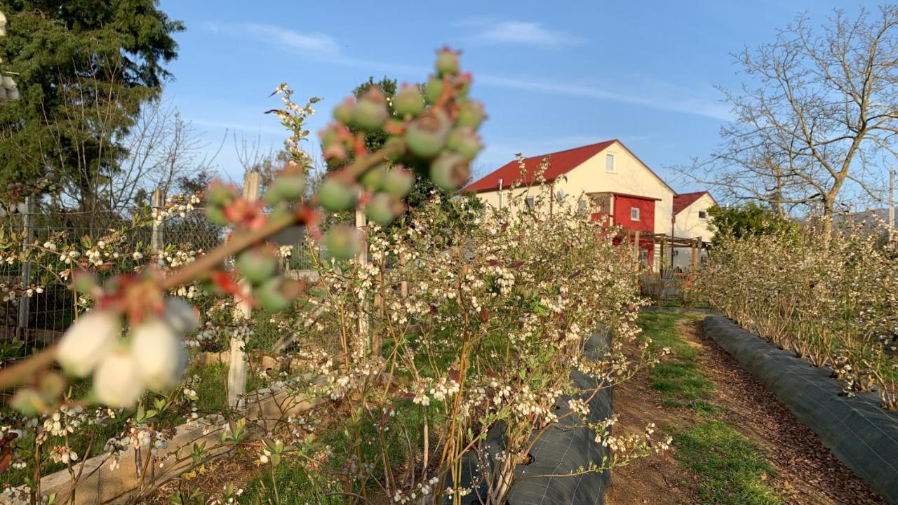 Quinta Vale Salgueiro Daire Seia Dış mekan fotoğraf