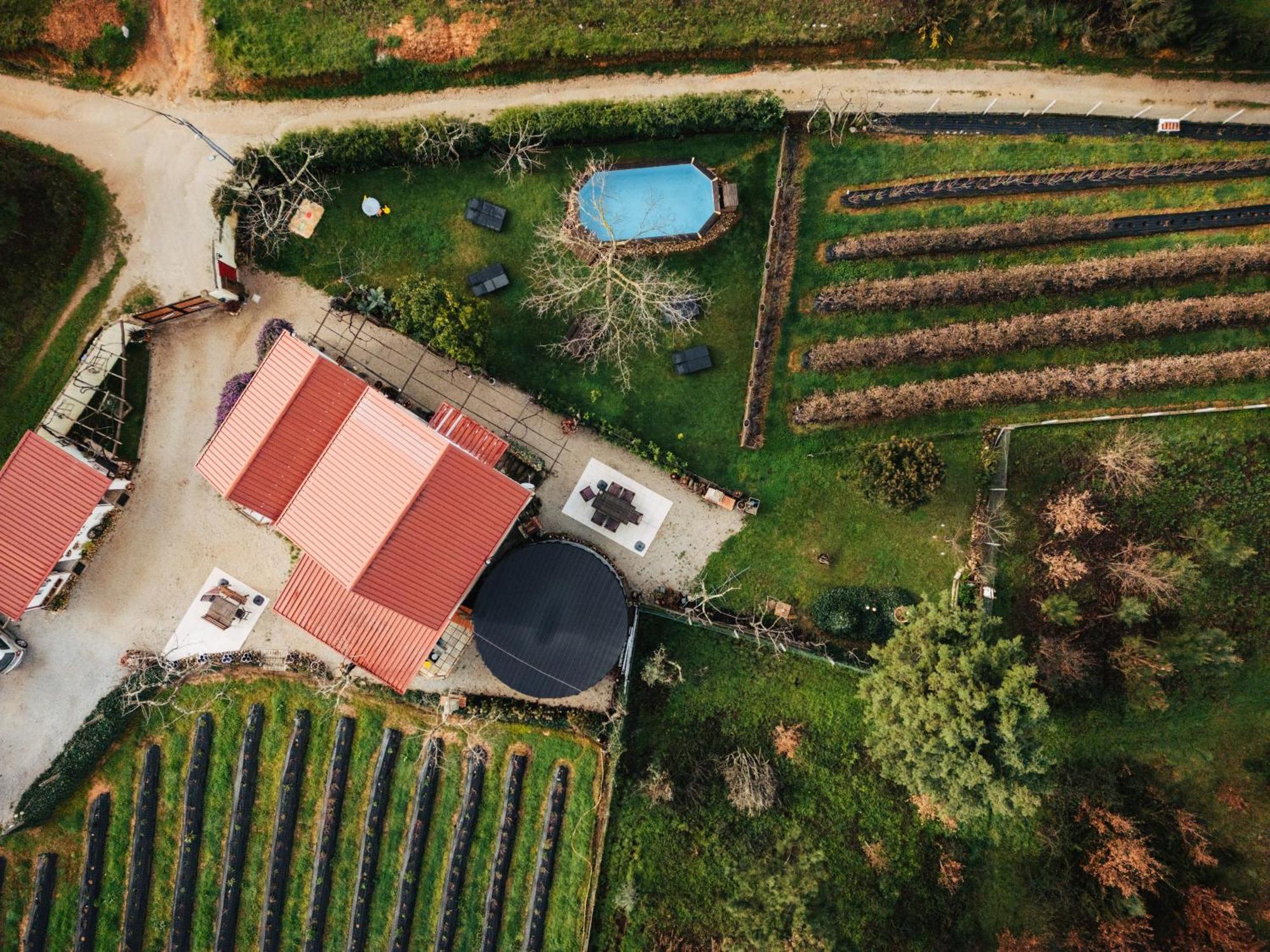 Quinta Vale Salgueiro Daire Seia Dış mekan fotoğraf