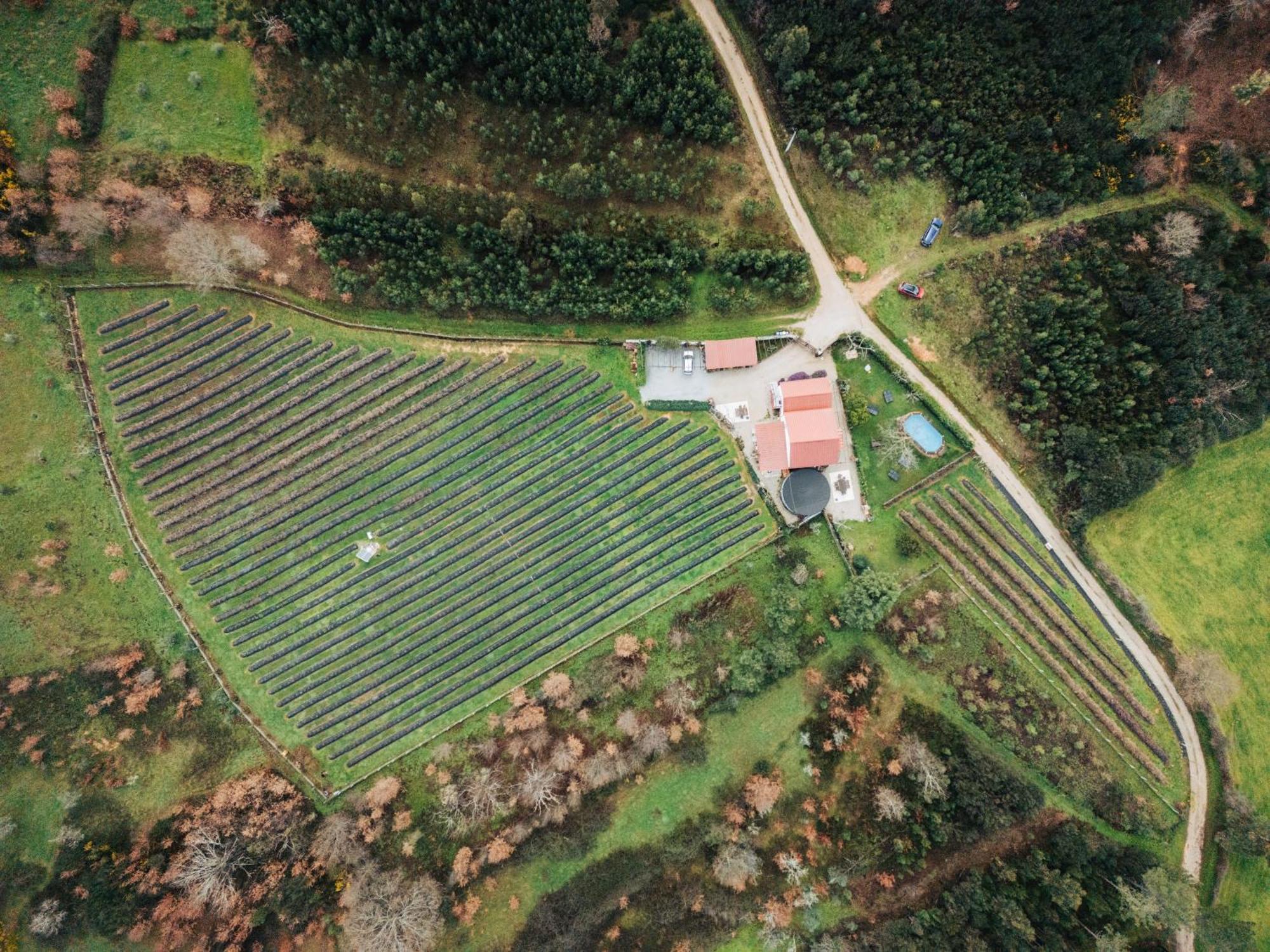 Quinta Vale Salgueiro Daire Seia Dış mekan fotoğraf