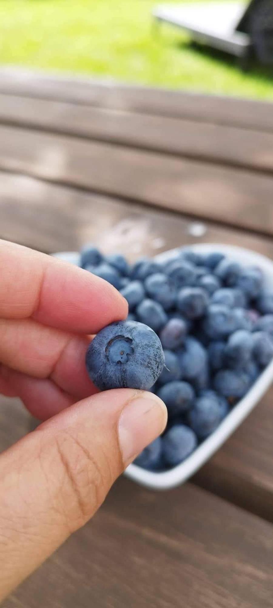 Quinta Vale Salgueiro Daire Seia Dış mekan fotoğraf