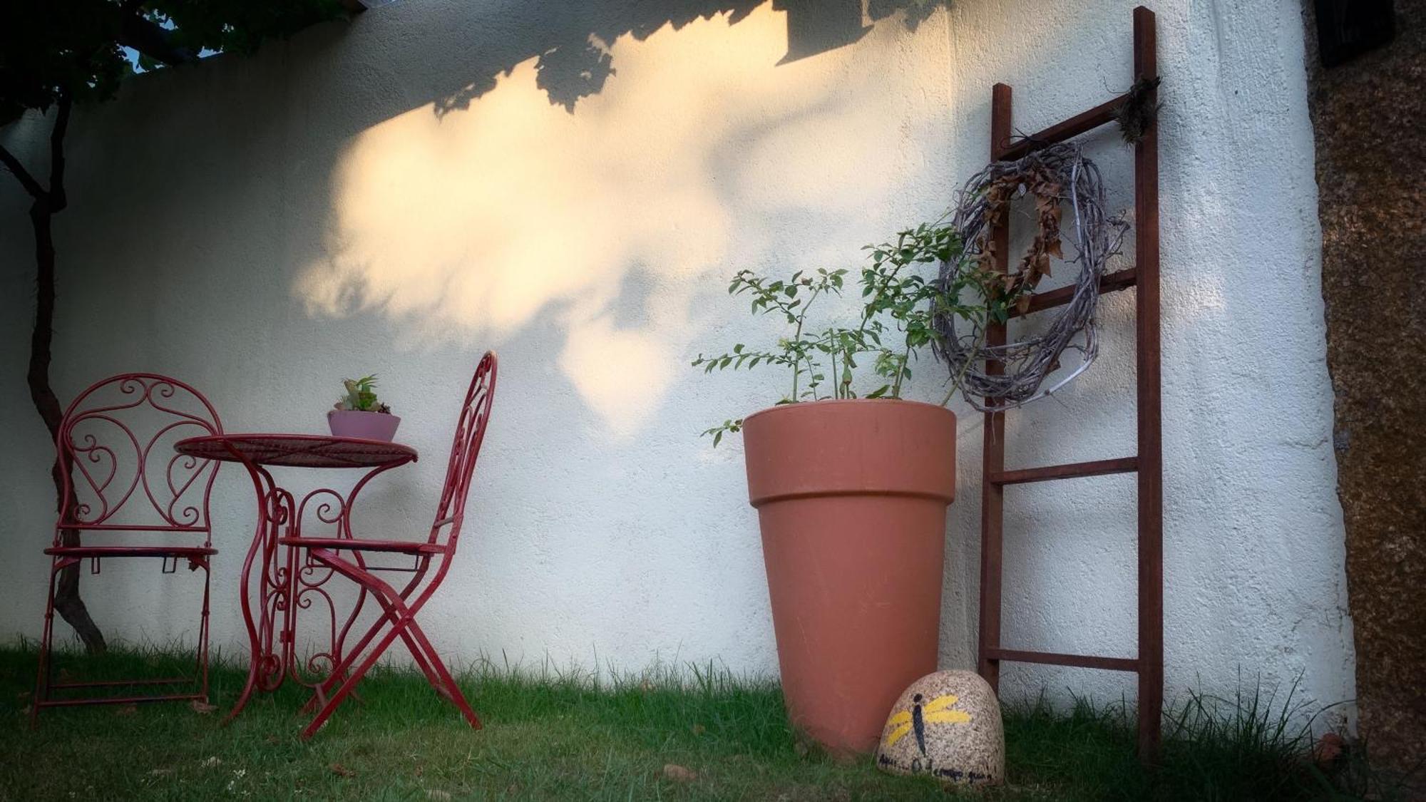 Quinta Vale Salgueiro Daire Seia Dış mekan fotoğraf