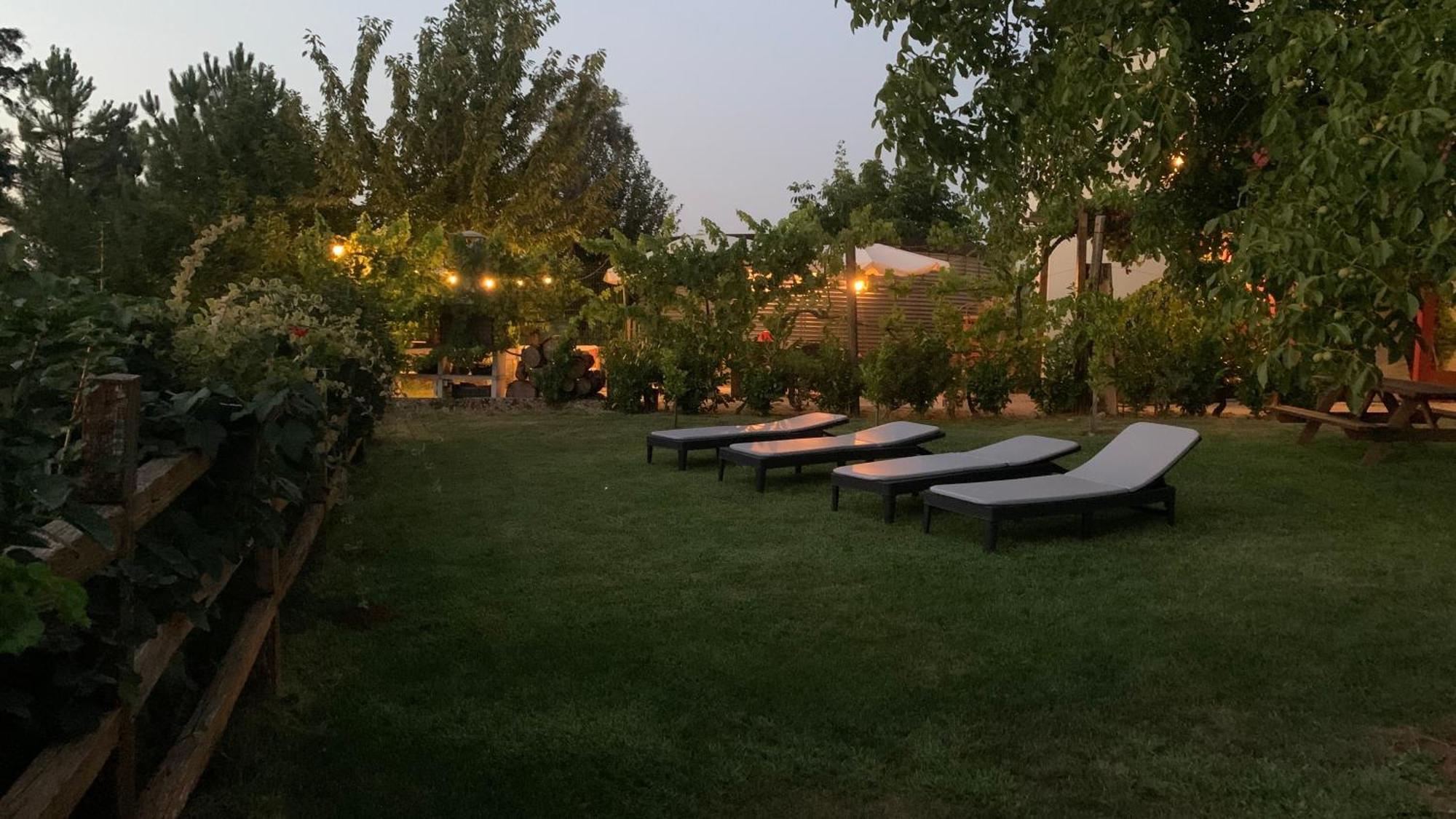 Quinta Vale Salgueiro Daire Seia Dış mekan fotoğraf