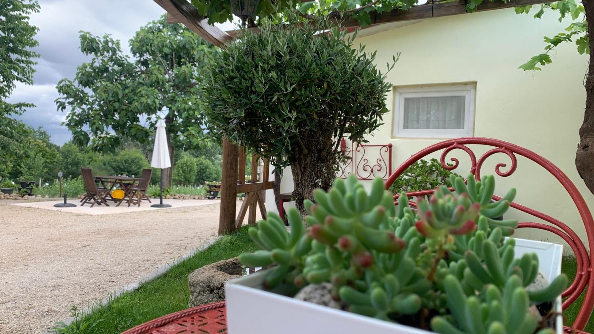 Quinta Vale Salgueiro Daire Seia Dış mekan fotoğraf