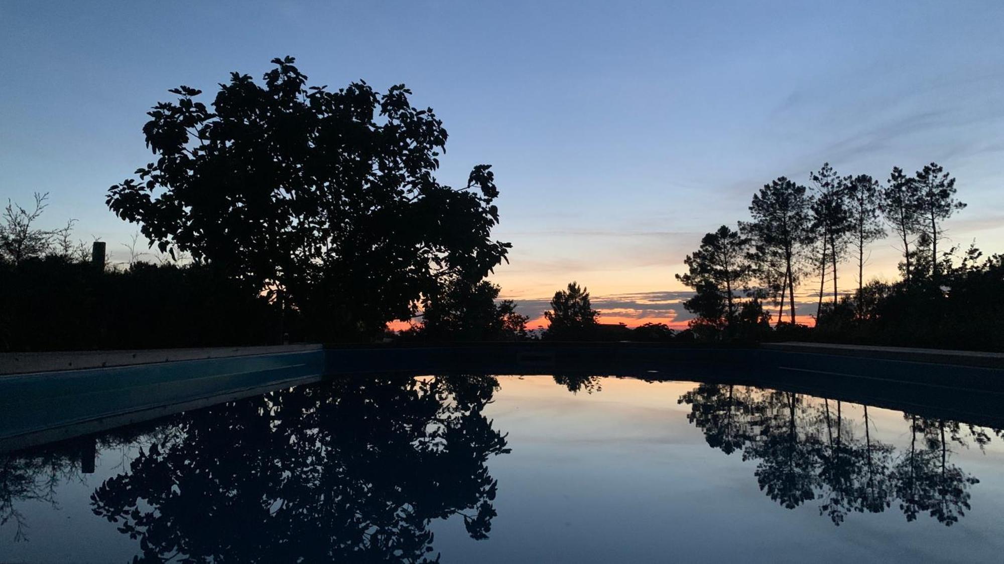 Quinta Vale Salgueiro Daire Seia Dış mekan fotoğraf
