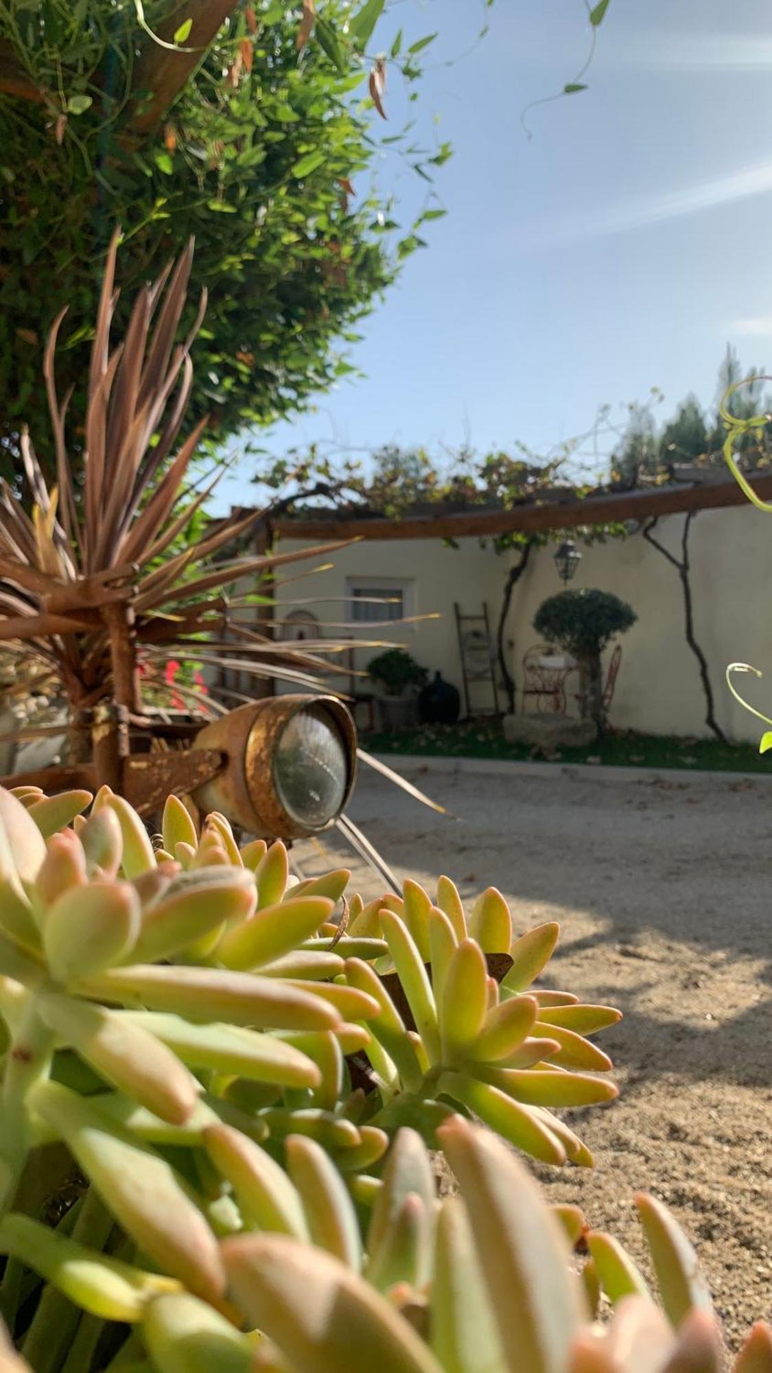 Quinta Vale Salgueiro Daire Seia Dış mekan fotoğraf